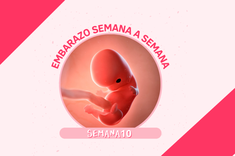 SEMANA 10 EMBARAZO